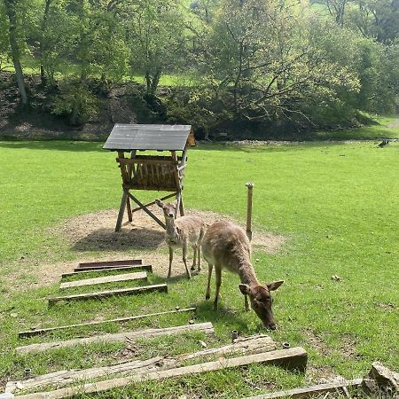 Ferienhaus Rehblick Rockeskyll Buitenkant foto