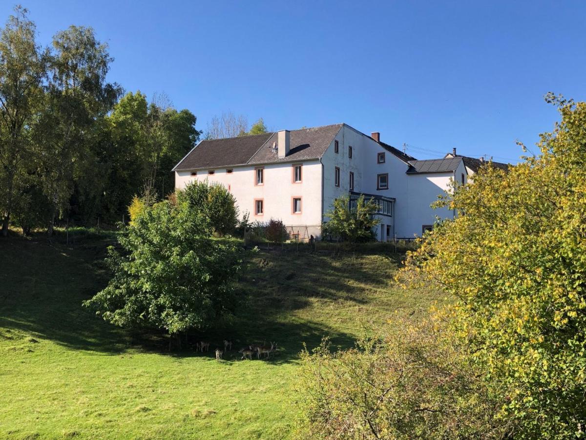 Ferienhaus Rehblick Rockeskyll Buitenkant foto