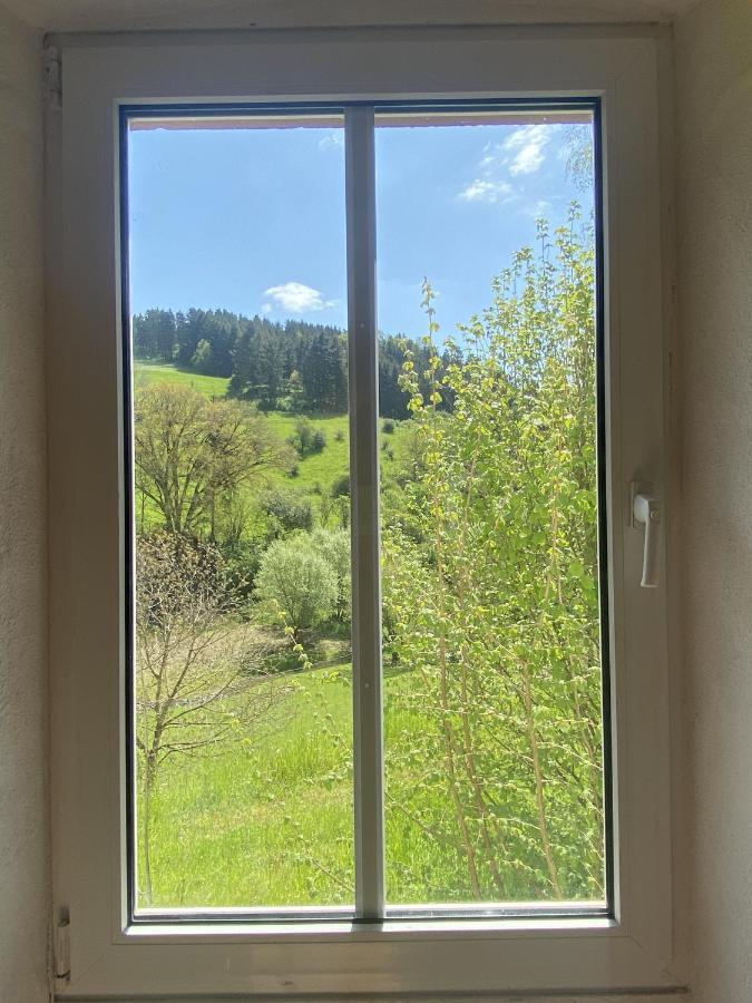 Ferienhaus Rehblick Rockeskyll Buitenkant foto